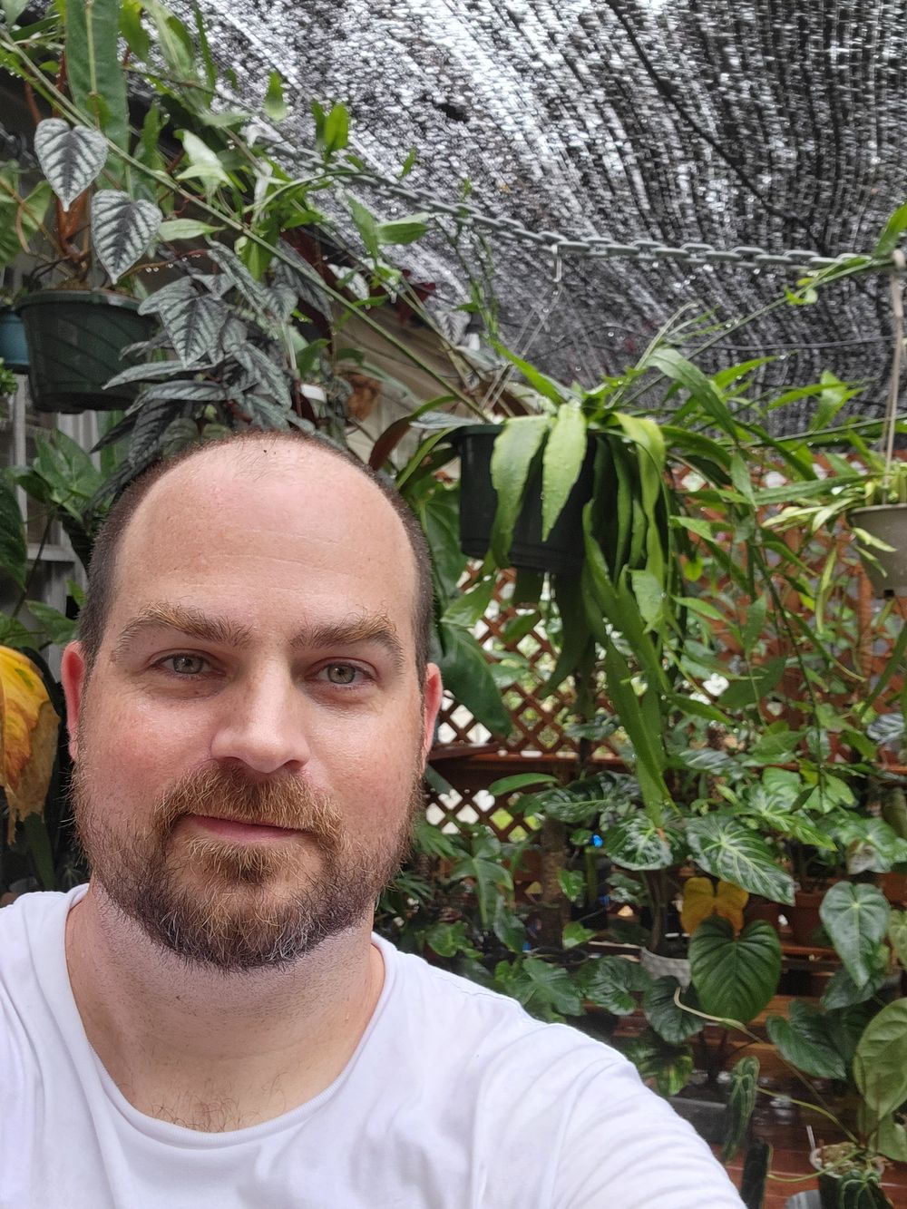 Justin in the greenhouse, Columbus GA