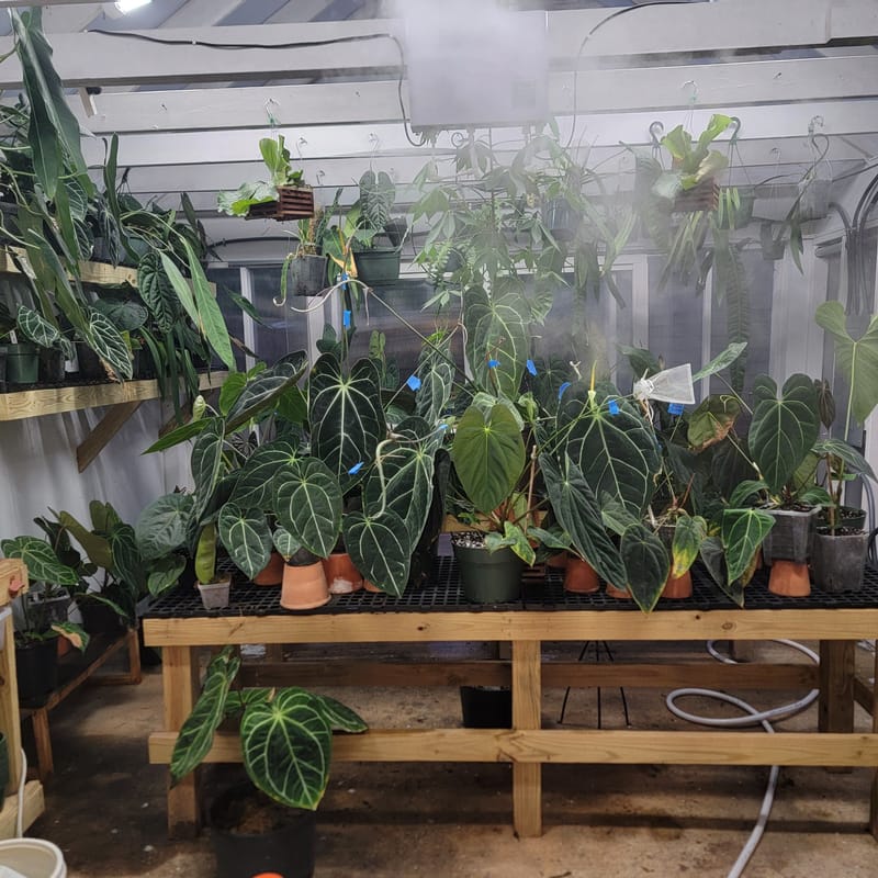 First plants moving in