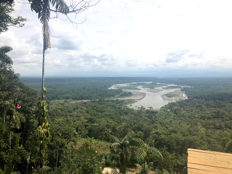 Ecuadorian cloud forest