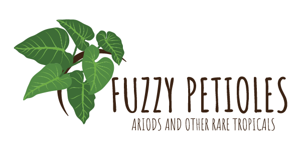 Fuzzy Petioles