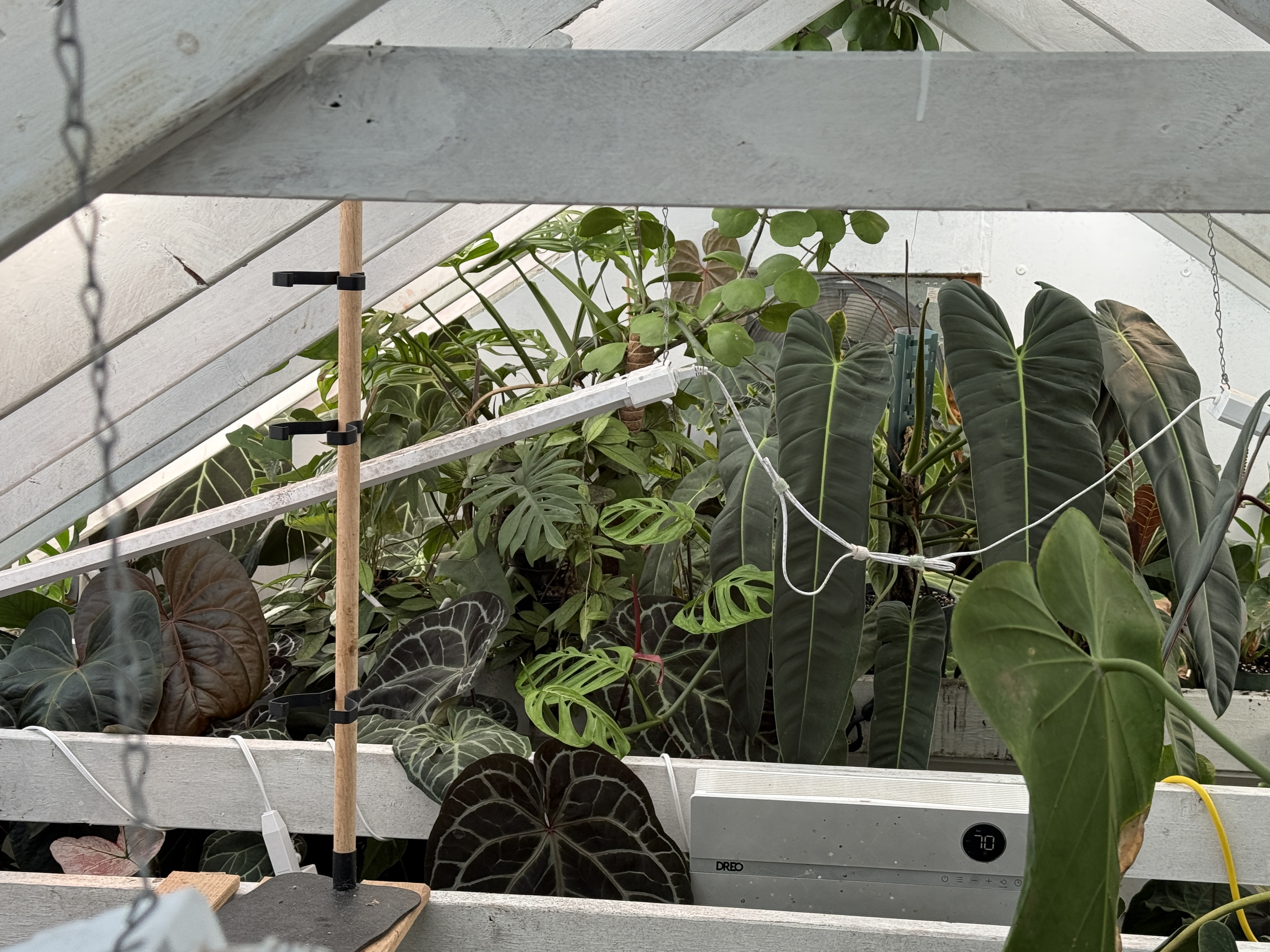 Current greenhouse